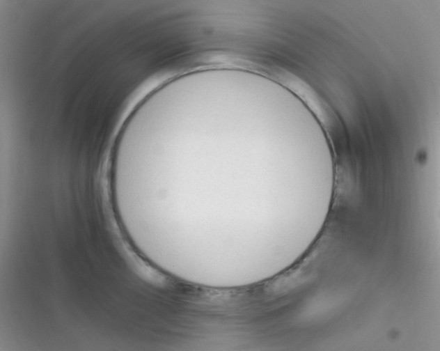 X0000116391098201001131825