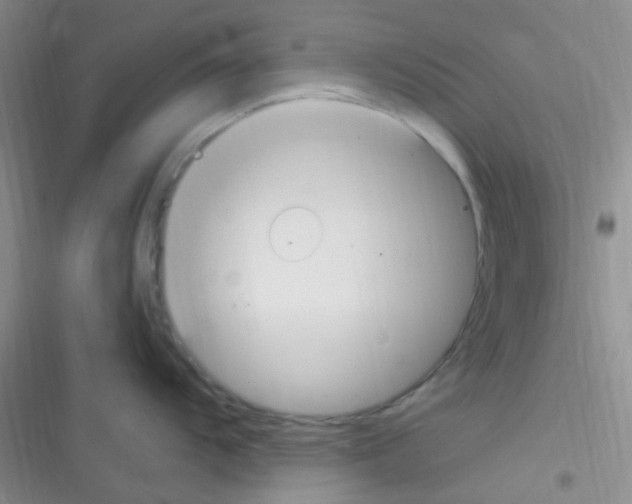 X0000116391104201001131824