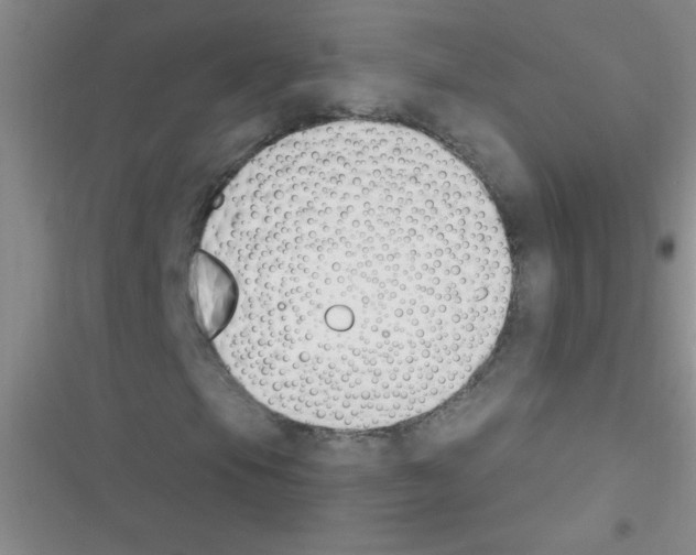 X0000116391105201001131824