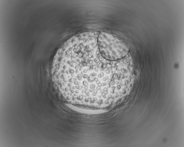 X0000116391106201001131824