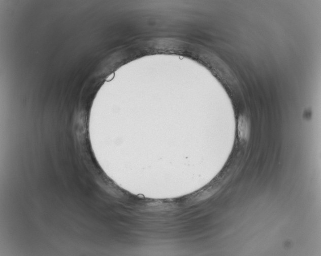 X0000116391107201001131824