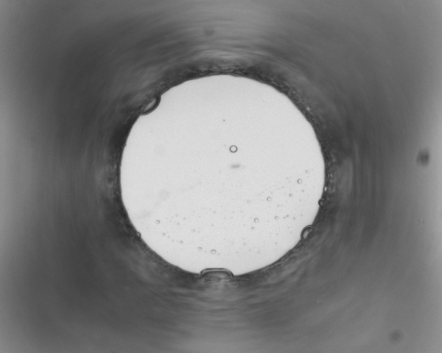 X0000116391109201001131824