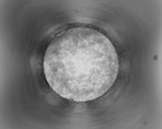 X0000116391110201001131824