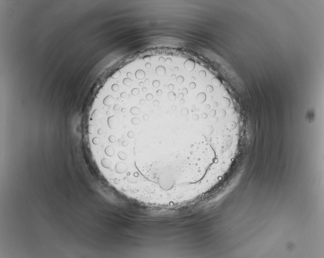 X0000116391113201001131824