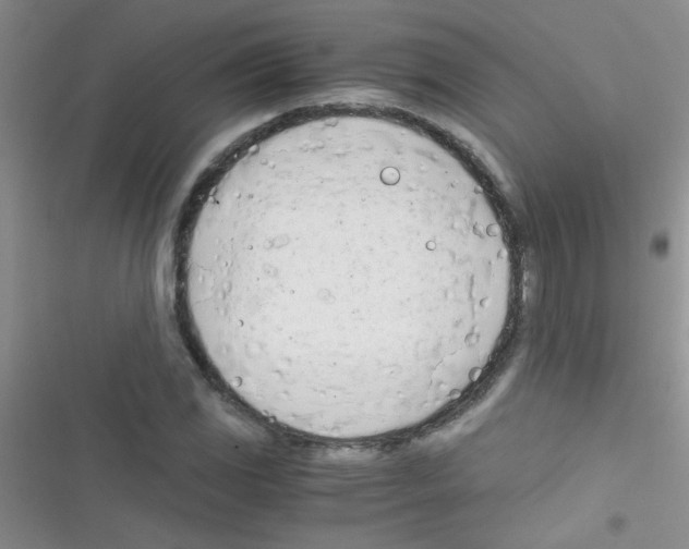 X0000116391117201001131824