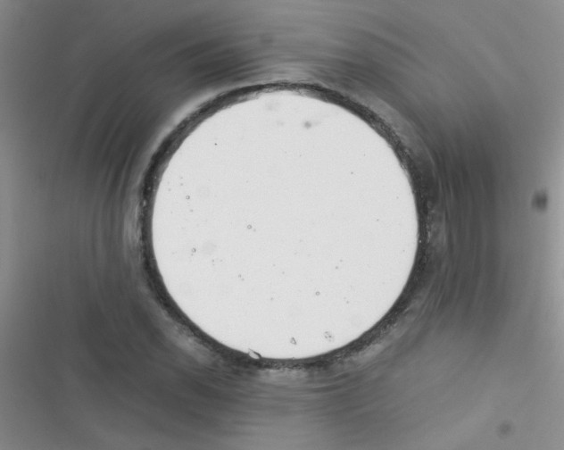 X0000116391118201001131824