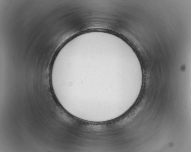 X0000116391121201001131824