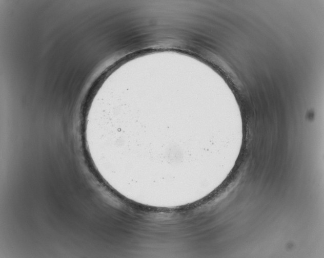 X0000116391122201001131824