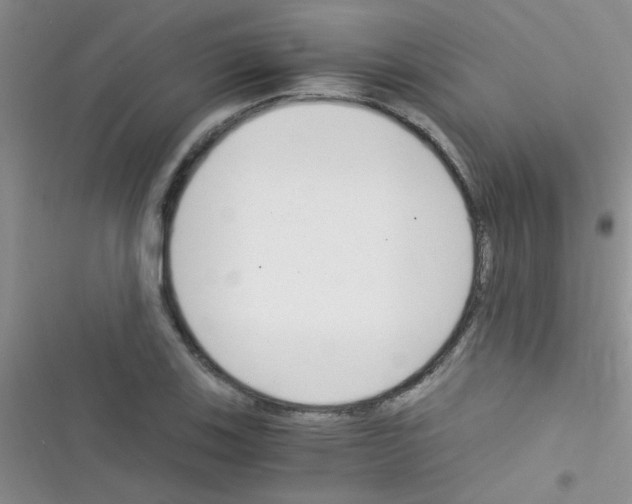 X0000116391123201001131824