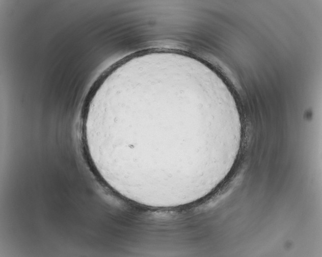 X0000116391125201001131824