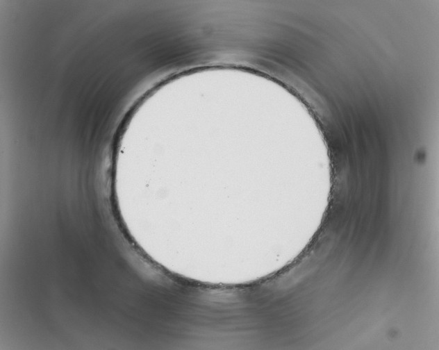 X0000116391126201001131824