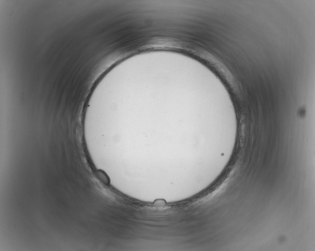X0000116391129201001131824