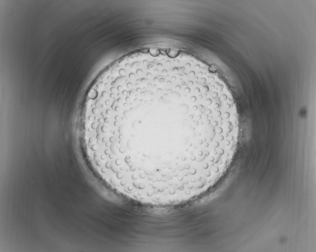 X0000116391130201001131824