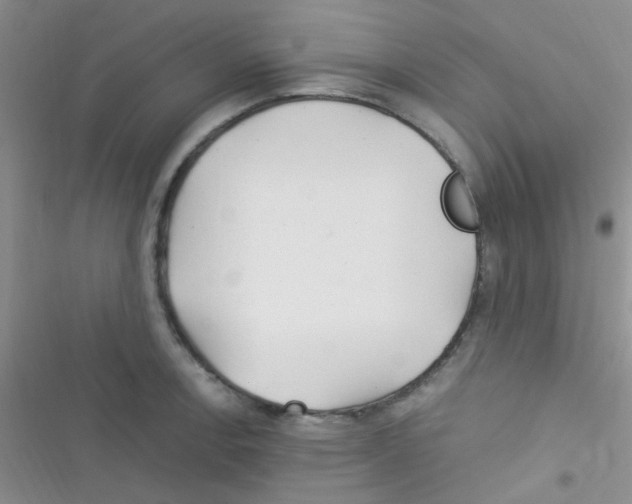 X0000116391138201001131824