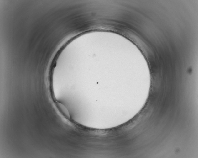 X0000116391141201001131824