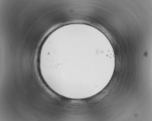 X0000116391142201001131824