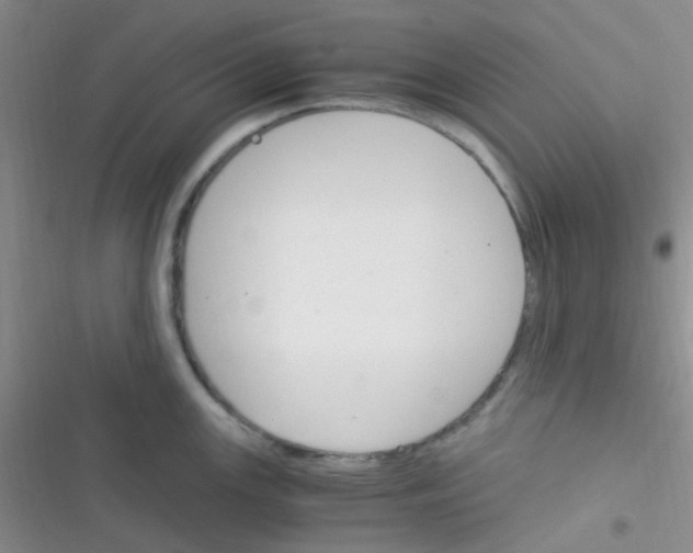 X0000116391147201001131824