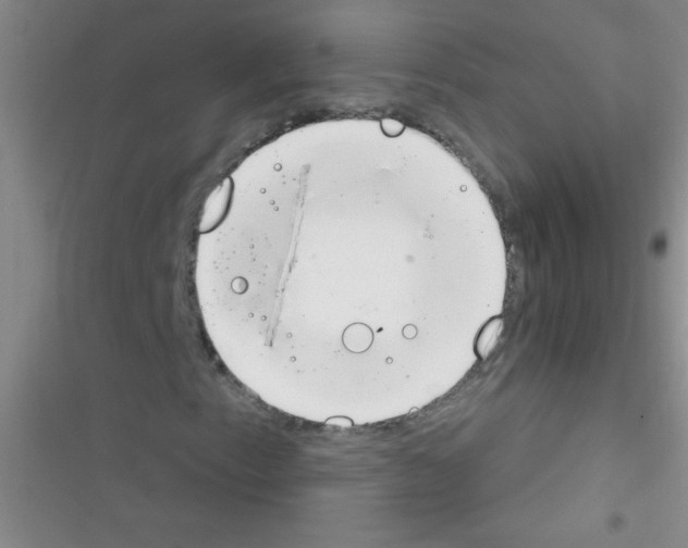 X0000116391153201001131824