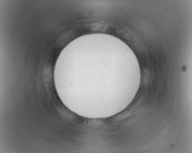 X0000116391154201001131824