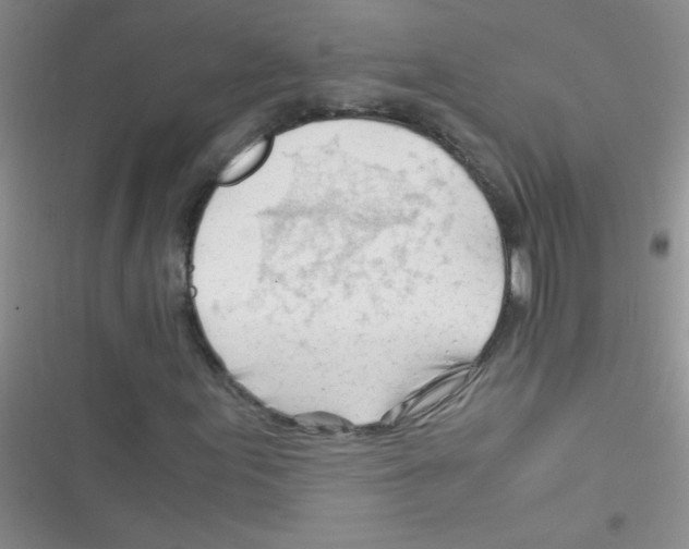 X0000116391155201001131824