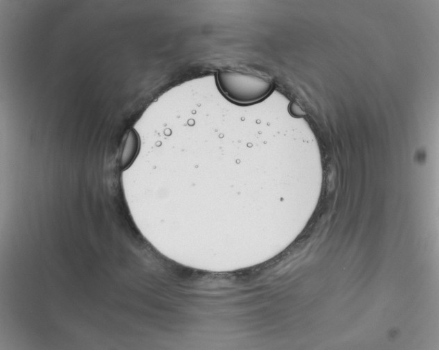 X0000116391156201001131824