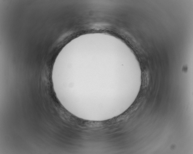 X0000116391158201001131824