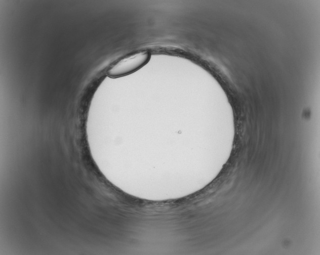 X0000116391159201001131824