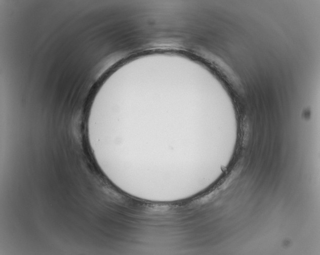 X0000116391162201001131824