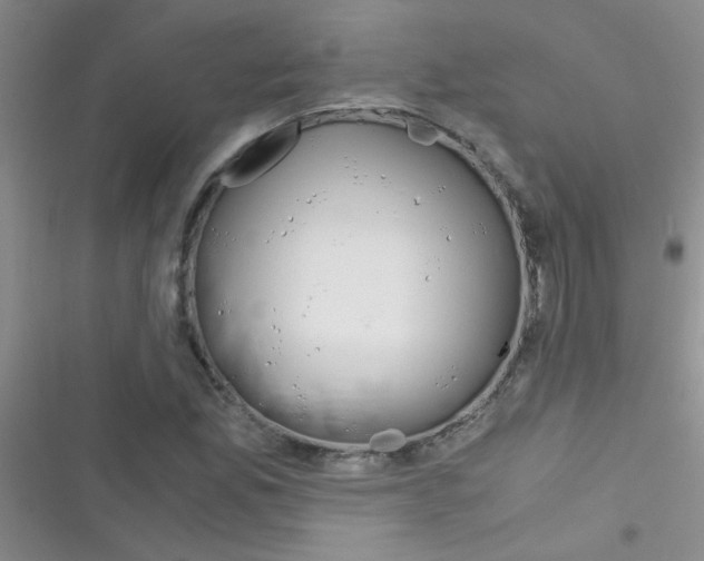 X0000116391165201001131824