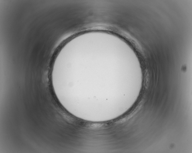 X0000116391166201001131824