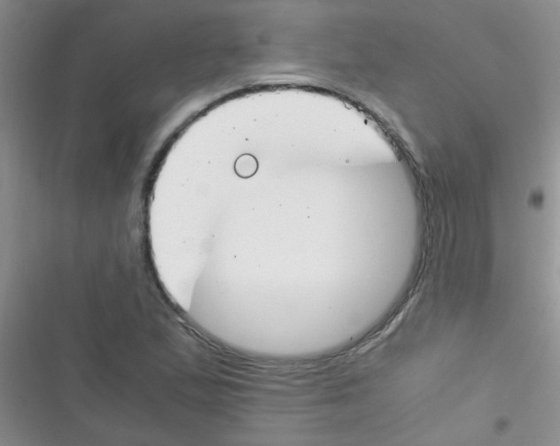 X0000116391167201001131824