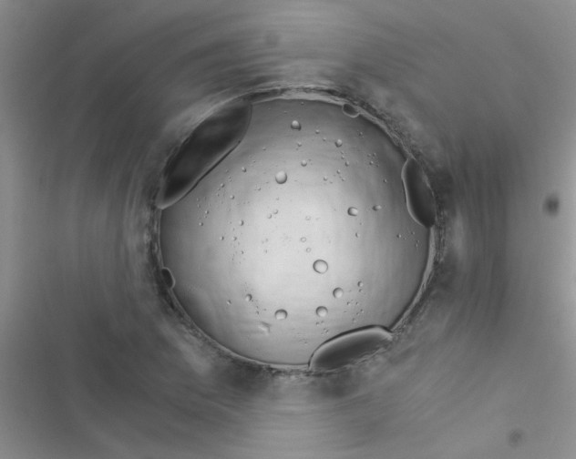 X0000116391169201001131824