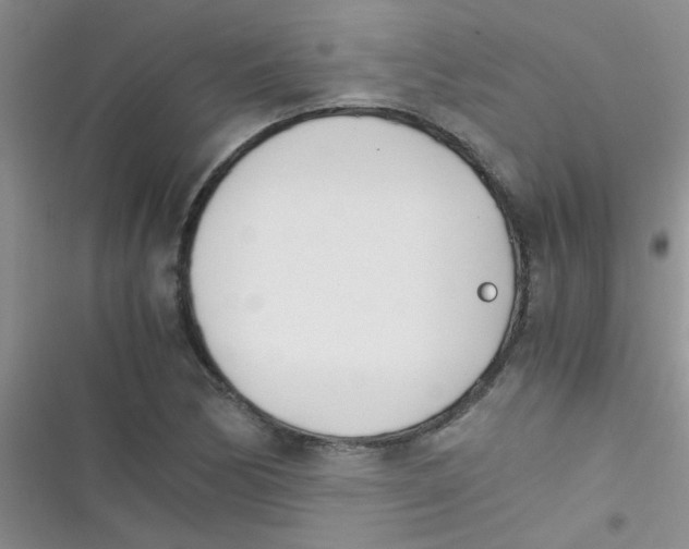 X0000116391170201001131824