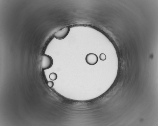 X0000116391171201001131824