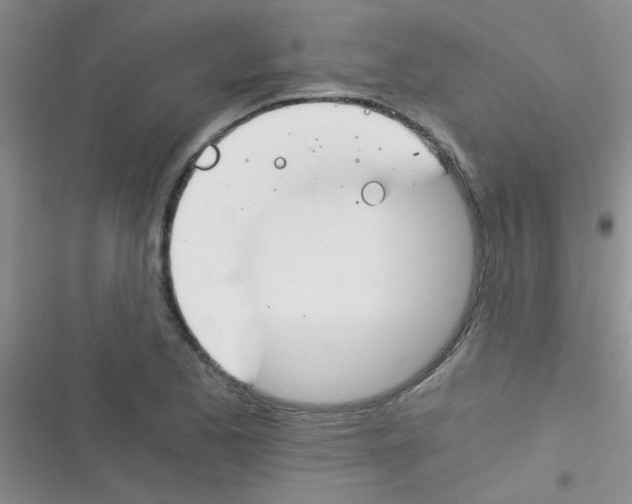 X0000116391173201001131824