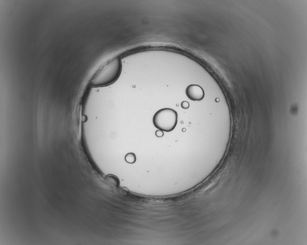 X0000116391175201001131823