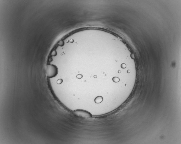 X0000116391176201001131823