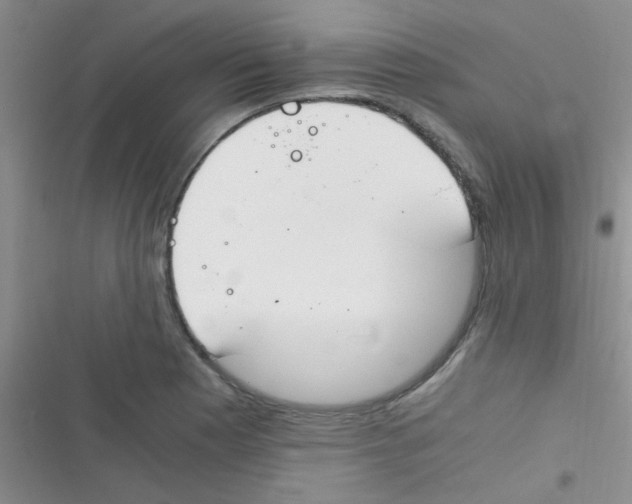 X0000116391177201001131823