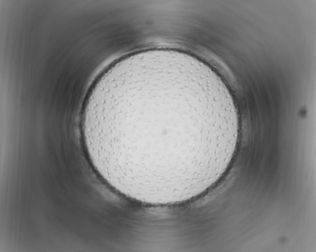 X0000116391182201001131823