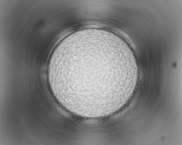 X0000116391186201001131823