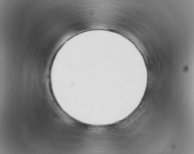 X0000116391187201001131823