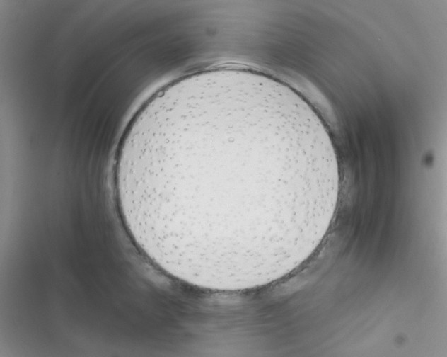 X0000116391190201001131823