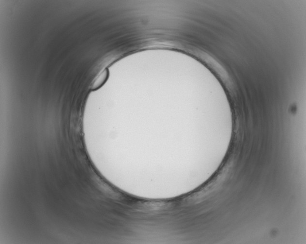 X0000116391193201001131823