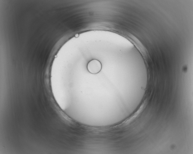 X0000116391196201001131823