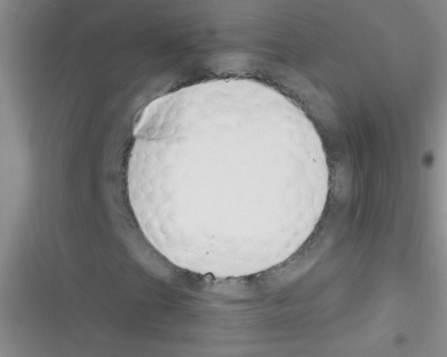X0000116391201201001131822