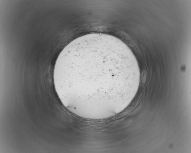 X0000116391202201001131822
