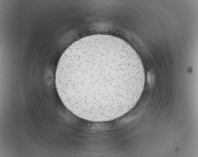 X0000116391203201001131823