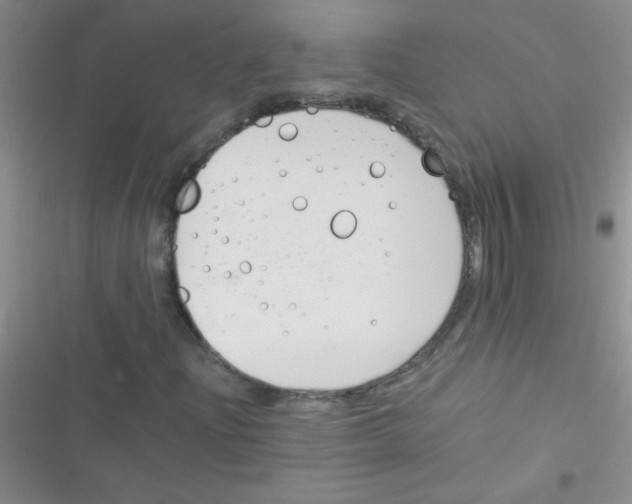 X0000116391204201001131823