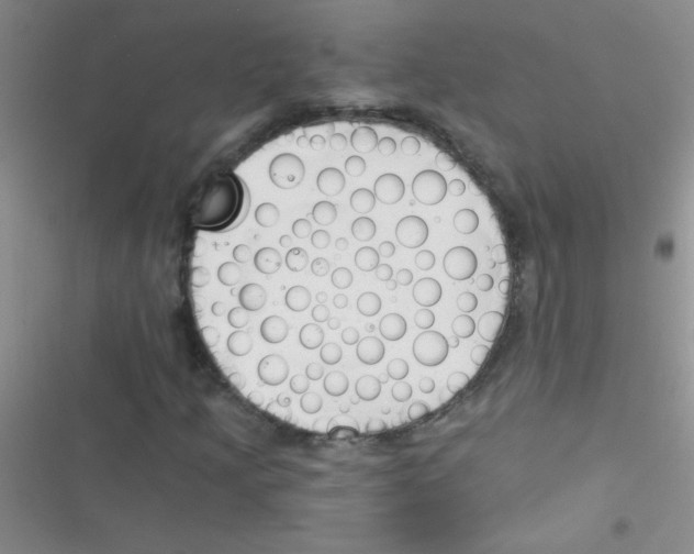 X0000116391205201001131823