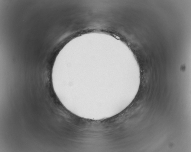 X0000116391206201001131823